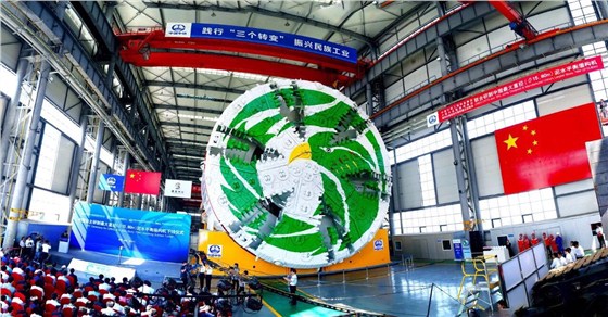 图片4 图片4